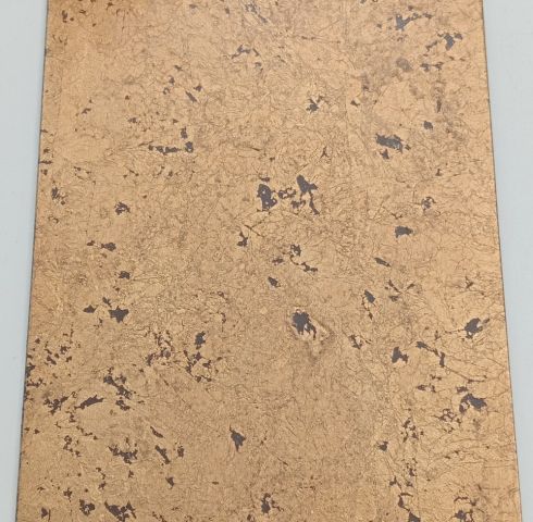 Vste-00221.08-08